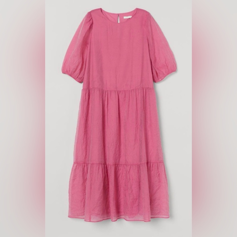 H&M Rose Puff Sleeve Dress
